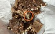 巧克力为什么会有虫子？