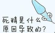 死精的原因