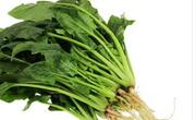 菠菜有什么营养价值？常吃有什么好处？