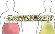 如何减掉脂肪？