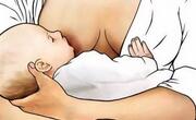 哺乳期乳汁分泌不足没奶水不足怎么办？