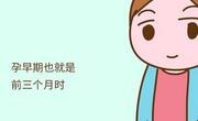孕早期是胚胎发育的最关键时期