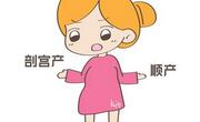 决定顺产的因素有产力产道胎儿及精神状态