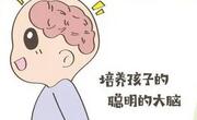 宝宝的大脑如何开发？
