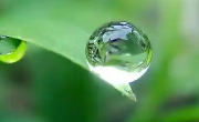 露水是怎么形成的？