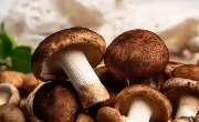 补肾食物可别忘了香菇！