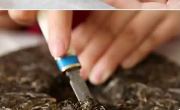 好茶叶怎么分辨？