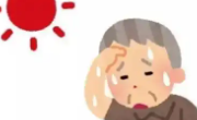 老年人如何安全地度过高温天？