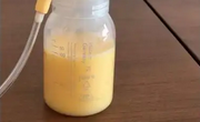 初乳与后期分泌的成熟乳相比优势更为明显