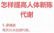 新陈代谢慢怎么办？怎么提高？
