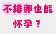 不排卵会怀孕吗？