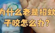 为什么爱出汗的人更容易招蚊子咬？